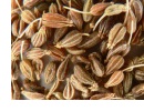 Anýz - Pimpinella anisum