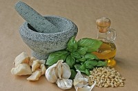 Bylinky - Bazalka - Ocimum basilicum Bylinky - Bazalka - Ocimum basilicum