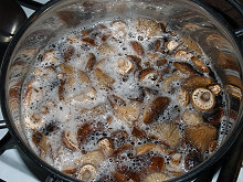 Guláš z václavek - václavky - houbový guláš + foto postup