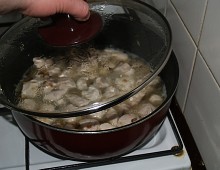 Kuřecí maso a smetanová žampionová omáčka