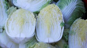 Chinese Cabbage Vegetable Harvest  - allybally4b / Pixabay